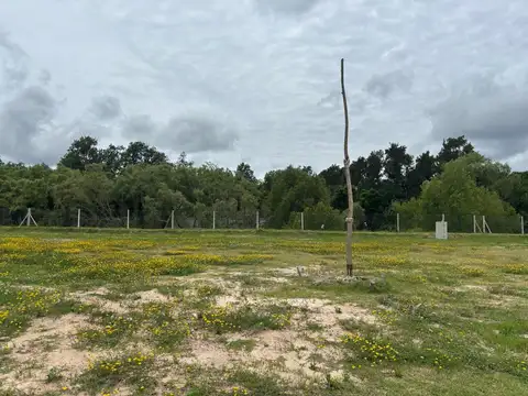 Terreno en Venta 32  mts Fondo