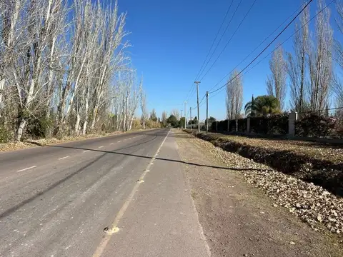 AGUSTIN ALVAREZ 300