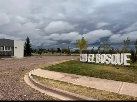 LOTE EN EL BOSQUE