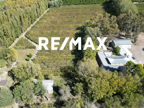 VENTA CHACRA FRENTE DE RUTA - CIPOLLETTI