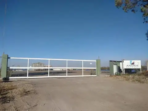 Venta planta industrial olivicola y fruticola