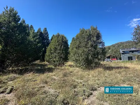 Oportunidad!! Península de Meliquina  20