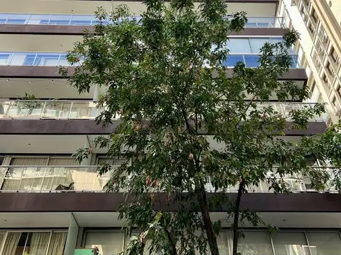 Juan M Gutierrez al 2700