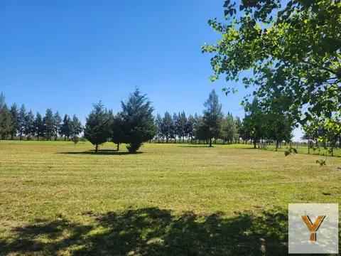 Terreno en Venta de 1800,0 m2
