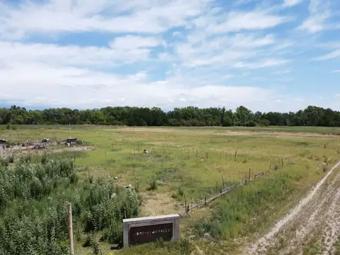 Terreno en Venta en Colonia las Rosas, USD 9.000