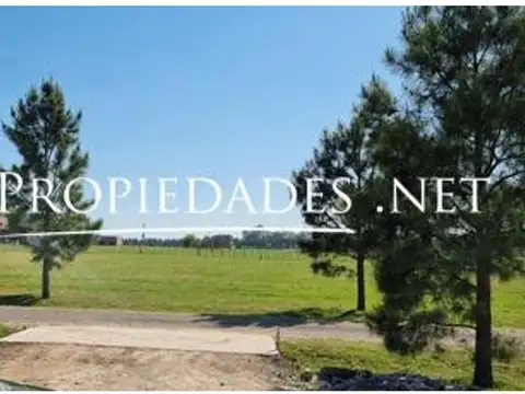 Terreno en Venta 50  mts Frente