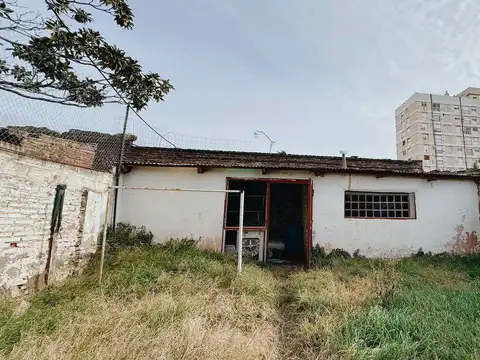 Moreno 800