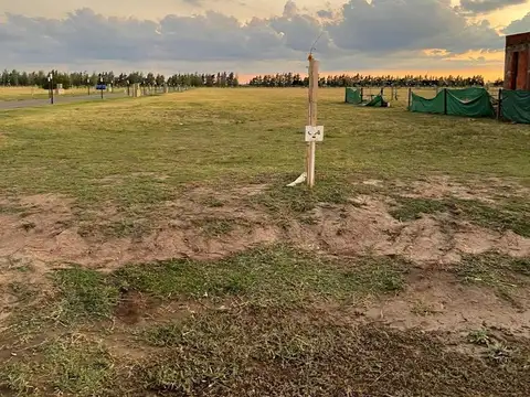 Terreno en Venta 40  mts Fondo