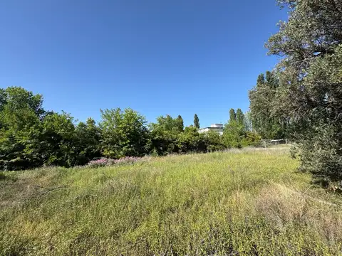 Dr edmundo correas al 3500