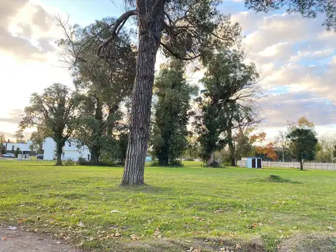 Greenville Polo&Resort