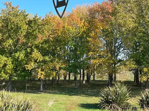 Terreno en Venta de 570000,0 m2