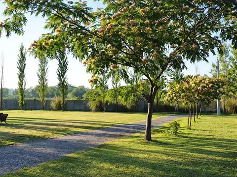 Terreno en Venta 17  mts Frente