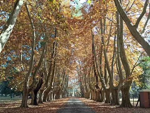 VENTA LOTE CHACRAS DE LA ALAMEDA