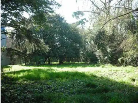 Terreno en Alquiler de 2084,0 m2