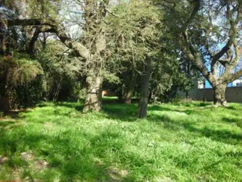 Terreno en Alquiler de 2084,0 m2