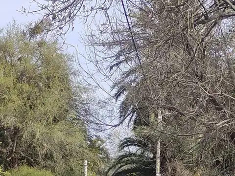 Terreno En Venta Nivelado En Santa Rosa Valle Viej
