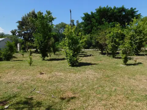 Campo en Venta Agrícola