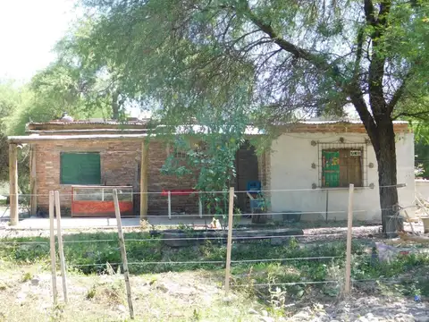 Campo en Venta Agrícola