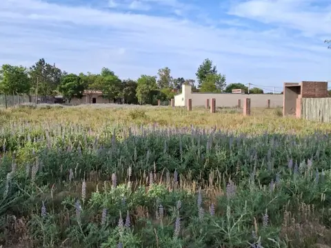 Terreno en Venta de 1200,0 m2