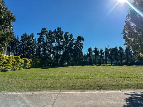 Terreno en Venta 45  mts Fondo