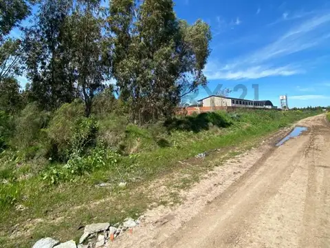 115 y 630 , Piso 0
