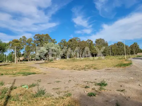 Terreno en Venta de 435,0 m2