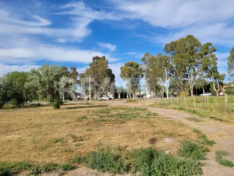 Terreno en Venta en Centenario, USD 42.000