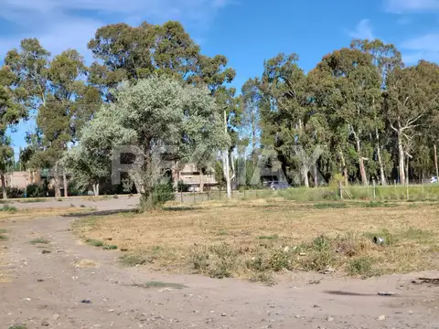 Terreno en Venta en Centenario, USD 42.000