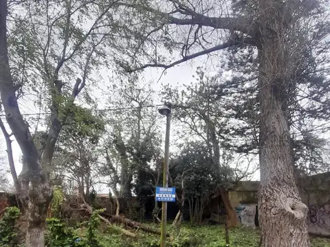Terreno / Lote en venta de 528m2 ubicado en Berisso