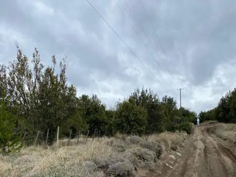 Villa Quilquihue 100