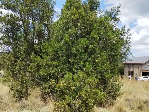 FINA PATAGONIA. Lote en venta de 970m2 ubicado en San Martin de los Andes