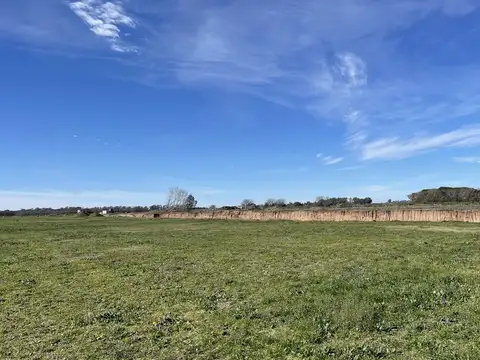 Ruta 6 km 142 Villa de Camo Tres Pinos s/n