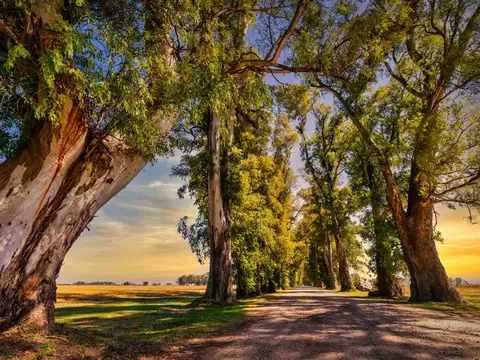 Terreno en Venta en Lujan, USD 46.000