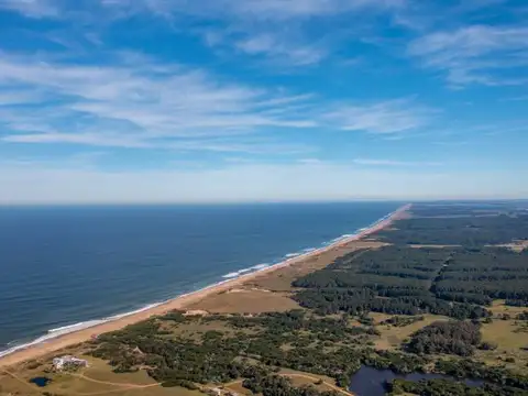 Chacra en José Ignacio con 240 mts. de costa