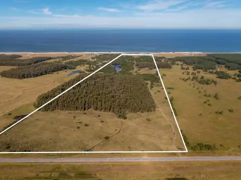 Chacra en José Ignacio con 240 mts. de costa