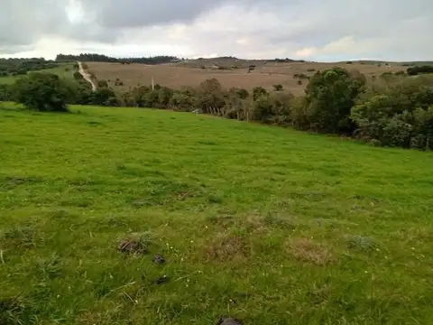 Venta campo en San Carlos por Camino Paso La Cantera, Uruguay