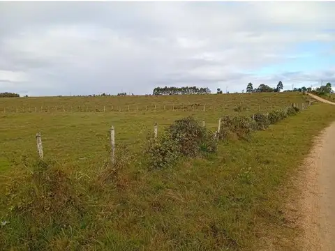Venta campo en San Carlos por Camino Paso La Cantera, Uruguay