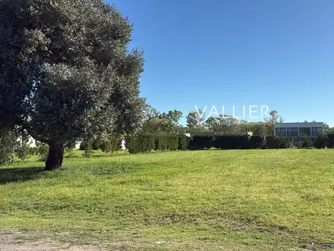 Terreno en Venta de 1500,0 m2
