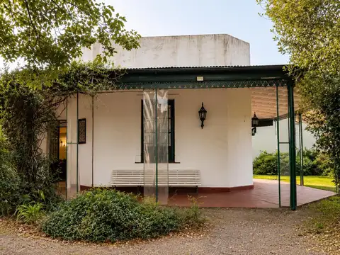 Saavedra 800