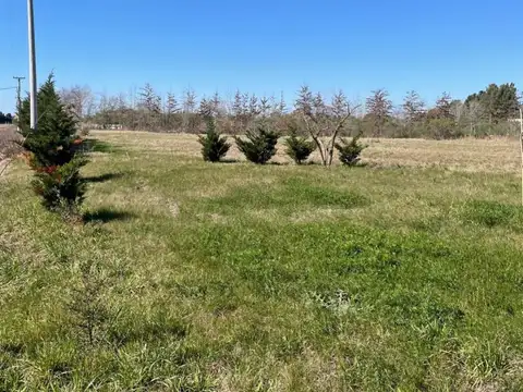 Lucio V Mansilla 5600