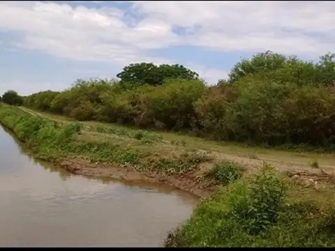Campo 192 hectáreas Estación Robles Santiago del Estero
