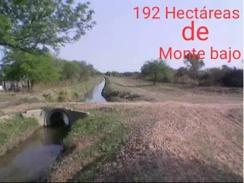Campo 192 hectáreas Estación Robles Santiago del Estero