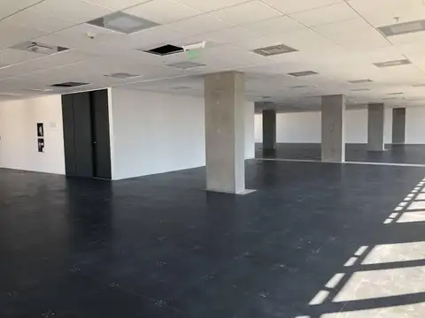 Oficina en Alquiler A Estrenar