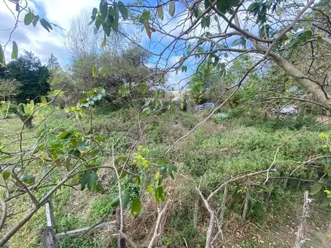 Lote en Santa Rosa de Calchines a 100m del Rio