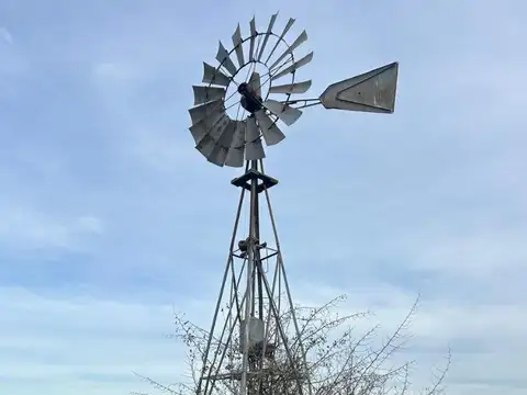 Campo ganadero de 130 hectareas en Alvarez Jonte,Punta Indio