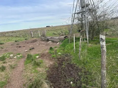 Ruta 36