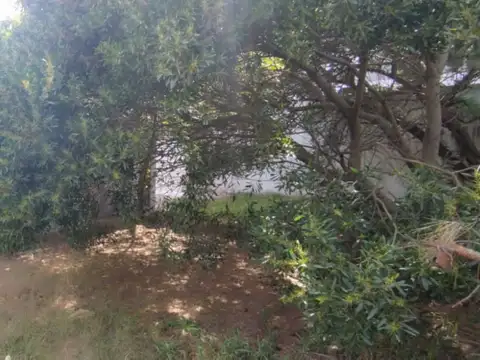 Venta 2 locales loza 207m2 cub 445m2 lote Oport!