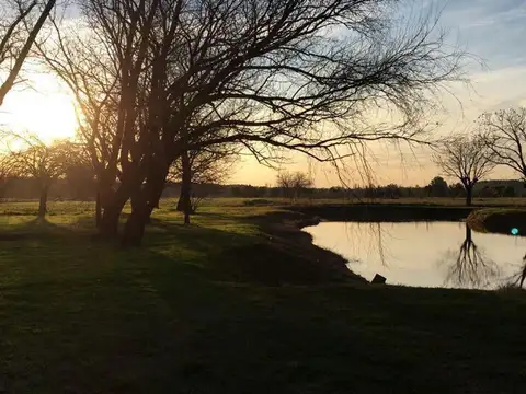 Terreno en Venta en Barrio El Campo - Fincas Exclusivas Cardales, Countries y Barrios Cerrados en Campana