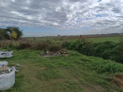 Terreno en Venta en Saavedra  - Zarate, USD 50.000