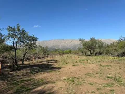 Terreno en Venta en Cruz De Caña, USD 12.000